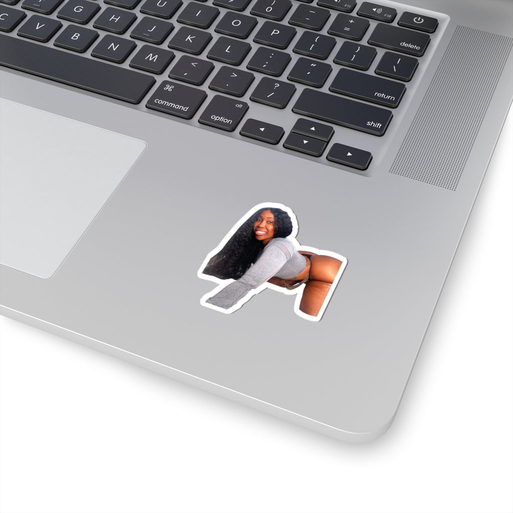 ZMEENAORR ARC  Stickers