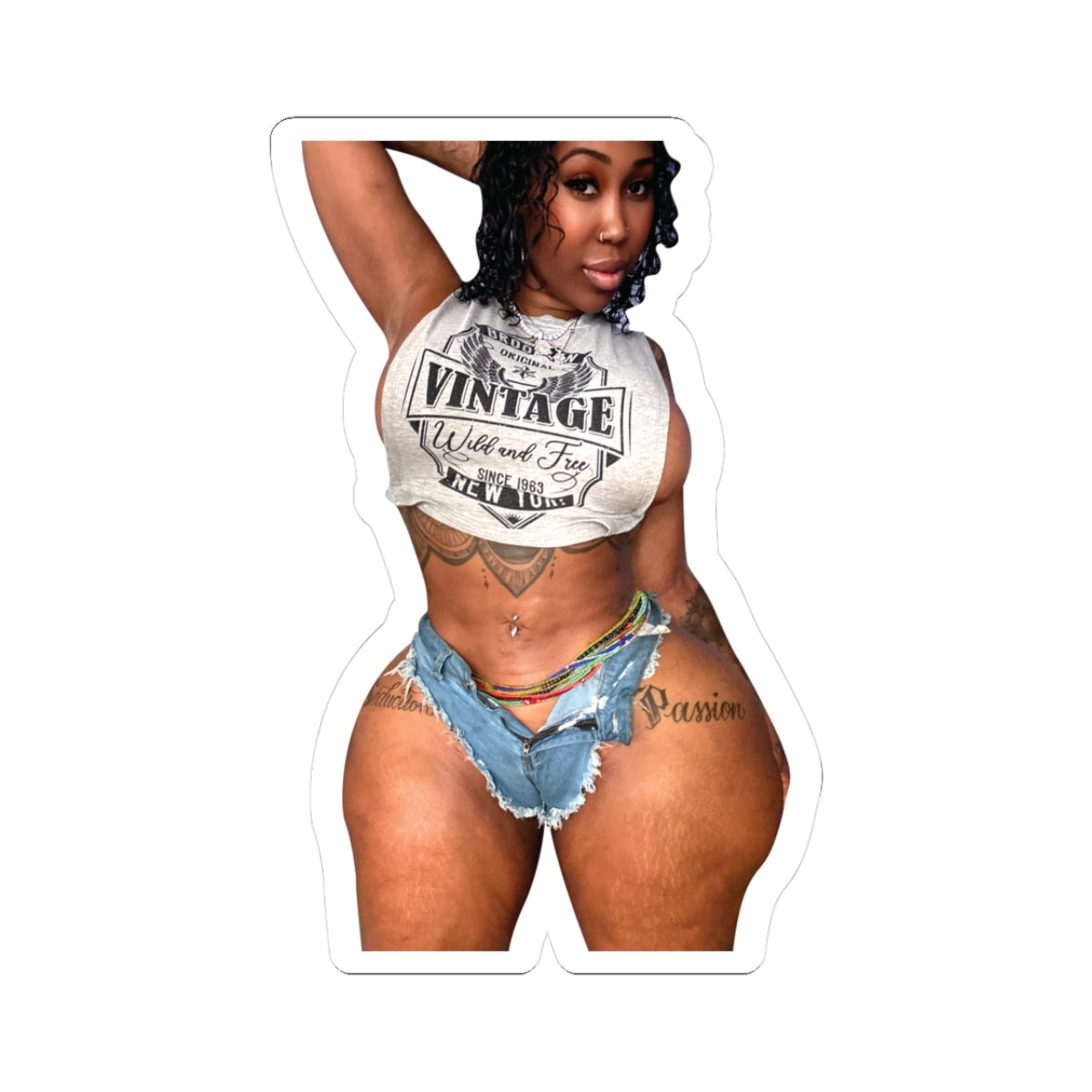 ZMEENAORR Vintage Stickers